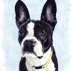 Watercolor Pet Portrait 1