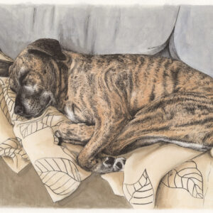 Watercolor Pet Portrait 6